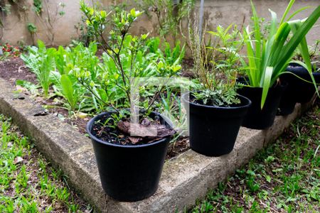 Apartamento para alugar com 63m², 2 quartos e 1 vaga Apartamento para alugar com 63m², 2 quartos e 1 vagaHorta Orgânica