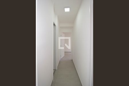 Corredor de apartamento para alugar com 2 quartos, 52m² em Jardim Íris, São Paulo