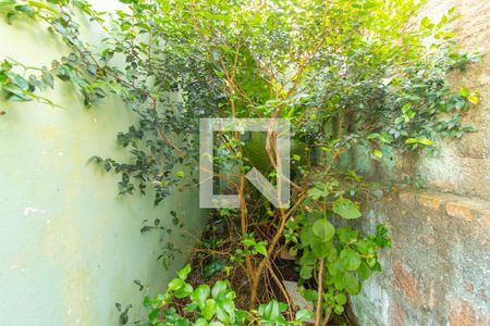 Casa à venda com 141m², 3 quartos e 2 vagasÁrea Externa