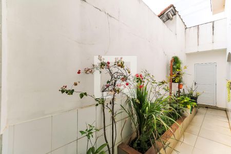 Casa à venda com 255m², 4 quartos e 3 vagasQuintal