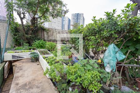 Apartamento à venda com 120m², 3 quartos e 2 vagasÁrea comum - horta 