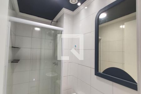 Banheiro de apartamento para alugar com 1 quarto, 35m² em Quinta da Paineira, São Paulo