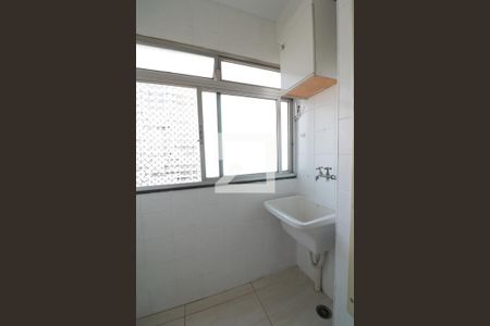 Área de Serviço de apartamento para alugar com 2 quartos, 50m² em Belenzinho, São Paulo