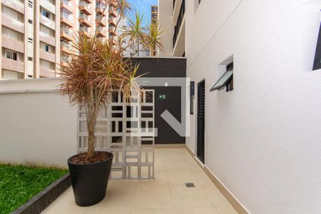 Apartamento para alugar com 25m², 1 quarto e sem vagaÁrea comum - Entrada Petcare