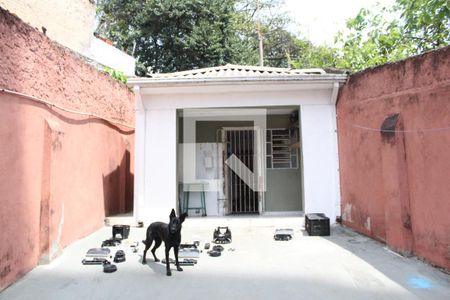 Casa à venda com 240m², 3 quartos e 4 vagasDetalhe da area de serviço