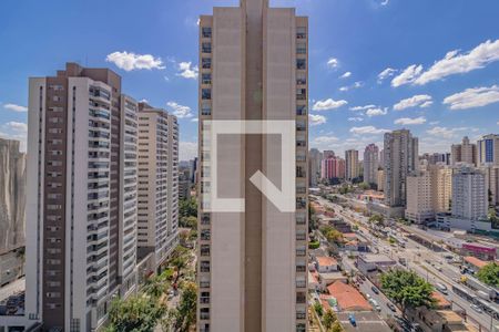 Vista de kitnet/studio para alugar com 1 quarto, 29m² em Vila Santa Catarina, São Paulo