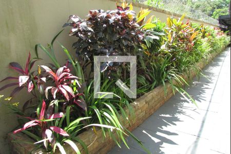 Apartamento para alugar com 80m², 2 quartos e 1 vagaJardim