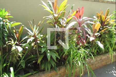 Apartamento para alugar com 80m², 2 quartos e 1 vagaVista do Quarto 1