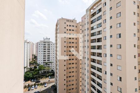 Apartamento para alugar com 79m², 3 quartos e 2 vagas Apartamento para alugar com 79m², 3 quartos e 2 vagasVista