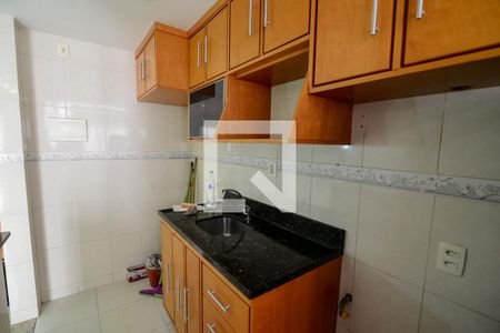 Cozinha de apartamento para alugar com 2 quartos, 46m² em São Cristóvão, Rio de Janeiro