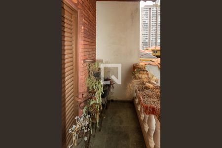 Casa para alugar com 269m², 3 quartos e 3 vagasvaranda da Suite