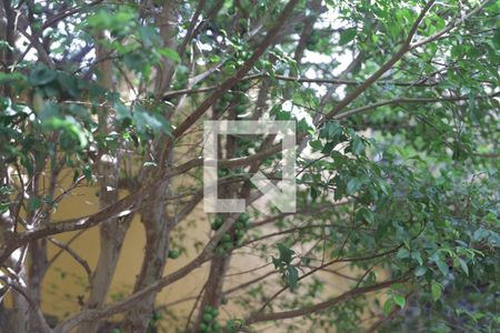 Casa à venda com 220m², 5 quartos e 2 vagasQuintal