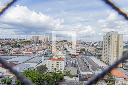 Vista Varanda da Sala de apartamento à venda com 3 quartos, 116m² em Piqueri, São Paulo
