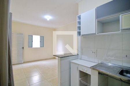 Sala/Quarto  de apartamento para alugar com 1 quarto, 30m² em Parque Arariba, São Paulo