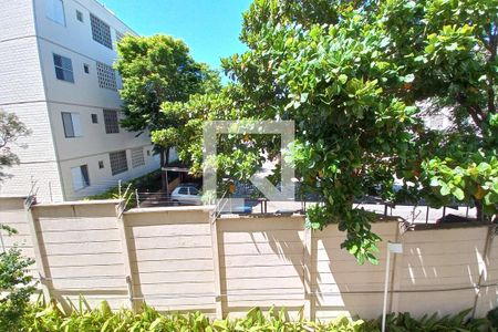 Vista do Quarto 2 de apartamento à venda com 2 quartos, 54m² em Jardim Amazonas, Campinas
