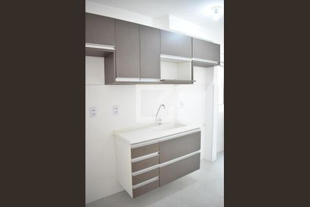 Apartamento para alugar com 60m², 2 quartos e 1 vagaCozinha - Armários