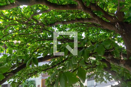 Vista do Quarto 1  de apartamento para alugar com 2 quartos, 70m² em Itapuã, Salvador