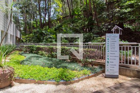 Apartamento à venda com 49m², 1 quarto e 1 vagaHorta de condimentos