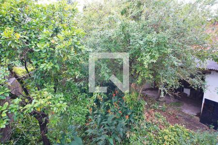 Pátio fundos de casa à venda com 2 quartos, 450m² em Petrópolis, Porto Alegre