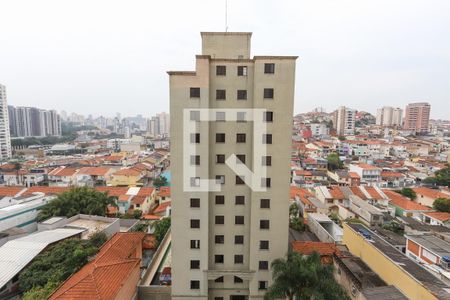 Vista de apartamento à venda com 3 quartos, 82m² em Vila Isolina Mazzei, São Paulo