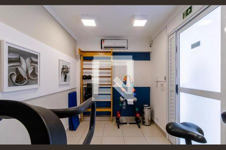 Apartamento para alugar com 40m², 2 quartos e sem vaga Apartamento para alugar com 40m², 2 quartos e sem vagaÁrea comum - Academia