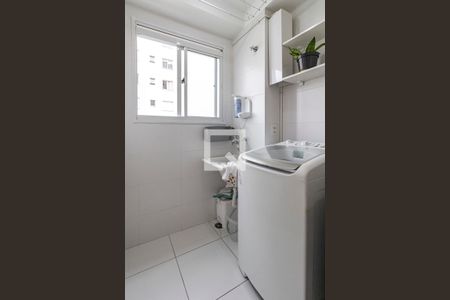 Apartamento para alugar com 40m², 2 quartos e sem vaga Apartamento para alugar com 40m², 2 quartos e sem vagaCozinha e Área de Serviço