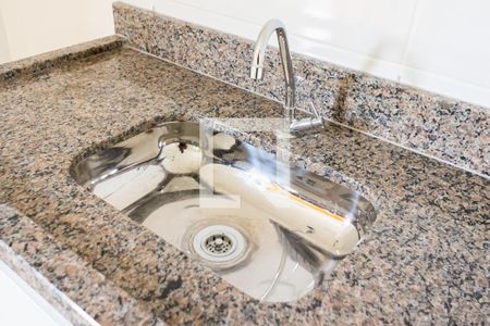 Detalhe Pia de apartamento para alugar com 2 quartos, 41m² em Vila Mafra, São Paulo