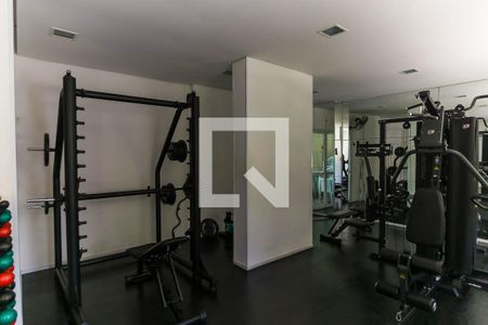 Apartamento à venda com 56m², 2 quartos e 1 vaga Apartamento à venda com 56m², 2 quartos e 1 vagaÁrea comum - Academia