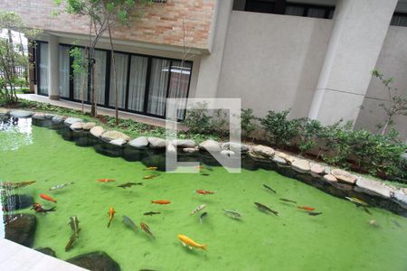 Apartamento à venda com 49m², 1 quarto e sem vagaLago de Carpas