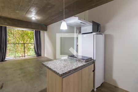 Cozinha de kitnet/studio para alugar com 1 quarto, 26m² em Vila Indiana, São Paulo