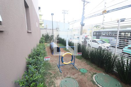 Apartamento para alugar com 29m², 1 quarto e sem vagaÁrea Pet