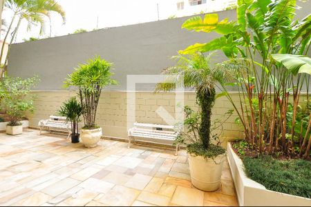 Apartamento para alugar com 135m², 2 quartos e 1 vaga Apartamento para alugar com 135m², 2 quartos e 1 vagaÁrea comum - Jardim