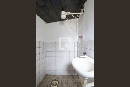 Banheiro de casa para alugar com 1 quarto, 50m² em Vila Nova, Porto Alegre