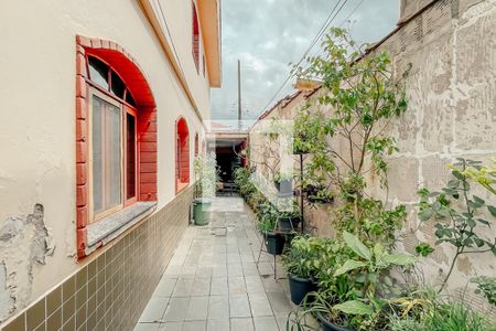 Casa à venda com 352m², 3 quartos e 2 vagasQuintal 