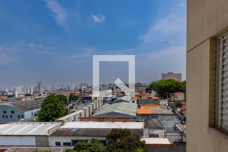 Apartamento para alugar com 76m², 3 quartos e 2 vagas