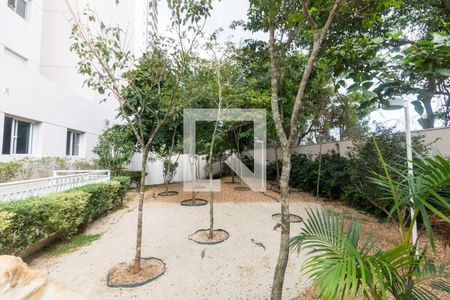 Apartamento para alugar com 68m², 2 quartos e 1 vagaBosque