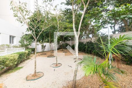 Apartamento para alugar com 68m², 2 quartos e 1 vagaBosque