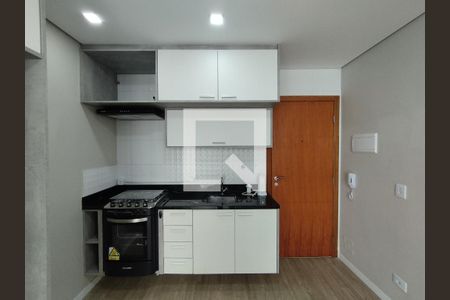 Studio para alugar com 47m², 1 quarto e 2 vagasCozinha - Armários