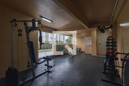 Academia de apartamento para alugar com 1 quarto, 36m² em Bigorrilho, Curitiba