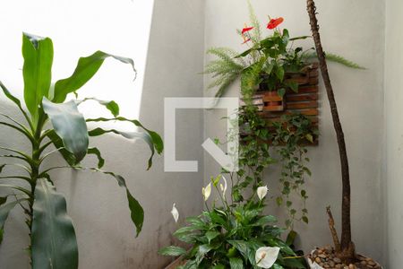 Casa para alugar com 236m², 3 quartos e 4 vagas Casa para alugar com 236m², 3 quartos e 4 vagasJardim