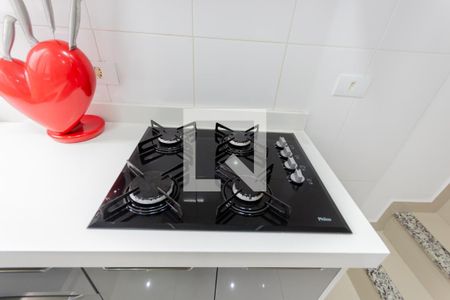 cooktop de apartamento para alugar com 2 quartos, 112m² em Parque Oratório, Santo André