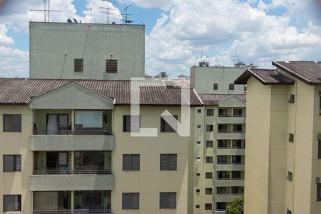 Vista do Quarto 1 de apartamento à venda com 2 quartos, 65m² em Vila Palmeiras, São Paulo
