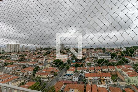 Vista da Varanda da Sala de apartamento para alugar com 3 quartos, 70m² em Jardim Aeroporto, São Paulo