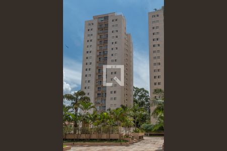 Fachada de apartamento para alugar com 3 quartos, 70m² em Jardim Aeroporto, São Paulo
