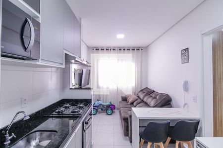 Cozinha de apartamento para alugar com 1 quarto, 38m² em Jardim Planalto, São Paulo