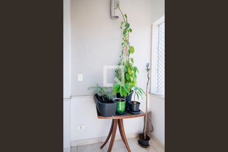 Apartamento à venda com 222m², 4 quartos e 3 vagasVaranda Suíte 3