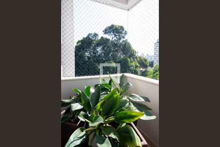Varanda de apartamento à venda com 4 quartos, 222m² em Brooklin Paulista, São Paulo