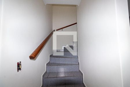 Escada de casa para alugar com 3 quartos, 99m² em Parque Boturussu, São Paulo