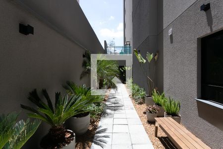 Área Comum de apartamento para alugar com 1 quarto, 25m² em Pinheiros, São Paulo