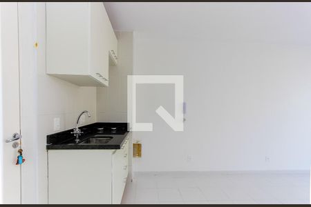 Apartamento para alugar com 31m², 1 quarto e sem vagaCozinha